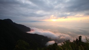 sương mù Tam Đảo và bình minh